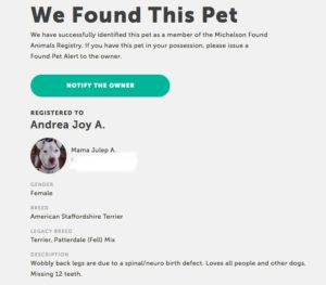 found animals microchip